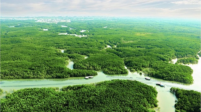 Thế hệ tuổi vàng tìm lại sức khỏe, đam mê và niềm vui sống tại Vinhomes Green Paradise