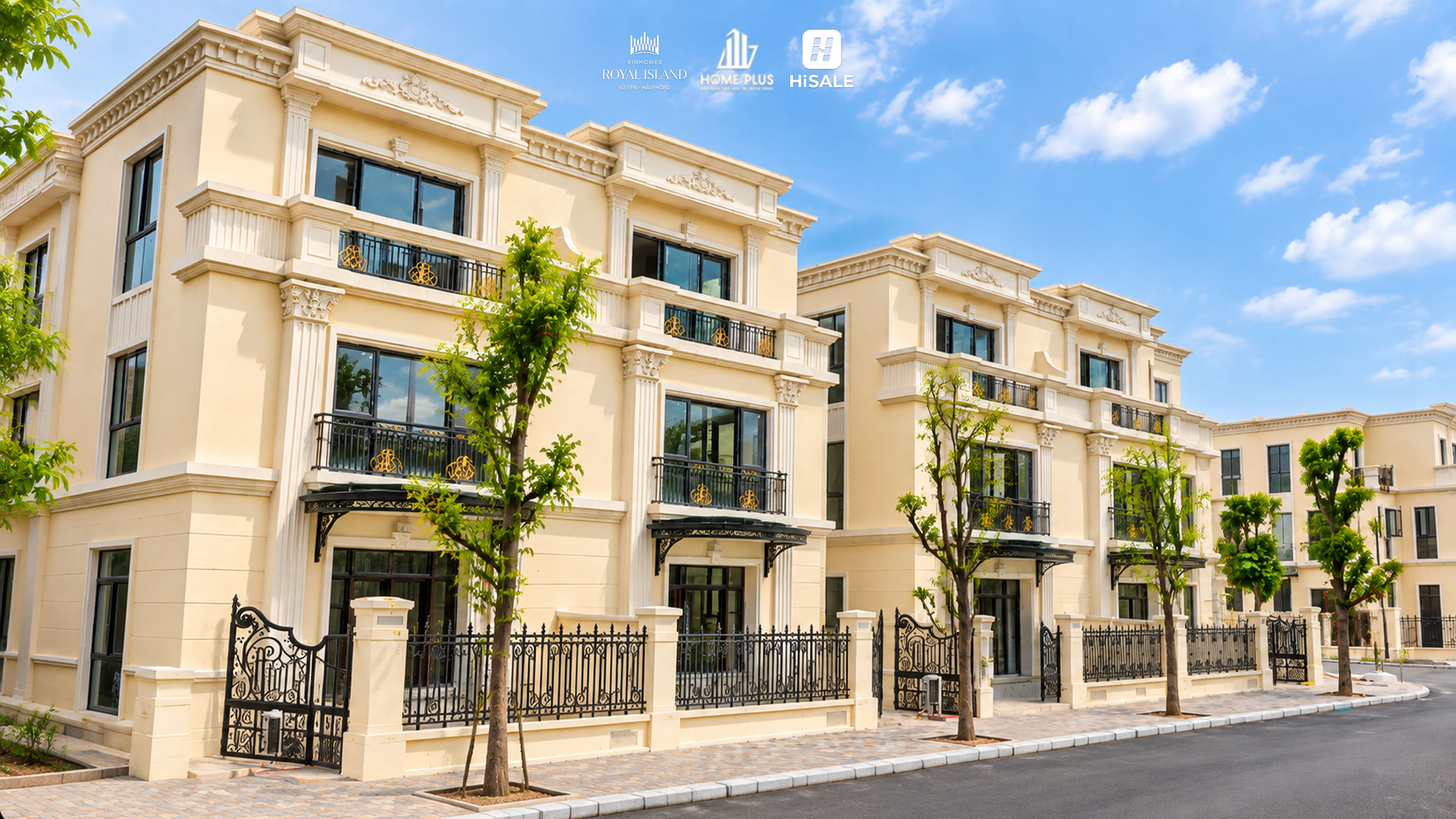 Biệt thự Song lập - ảnh 3