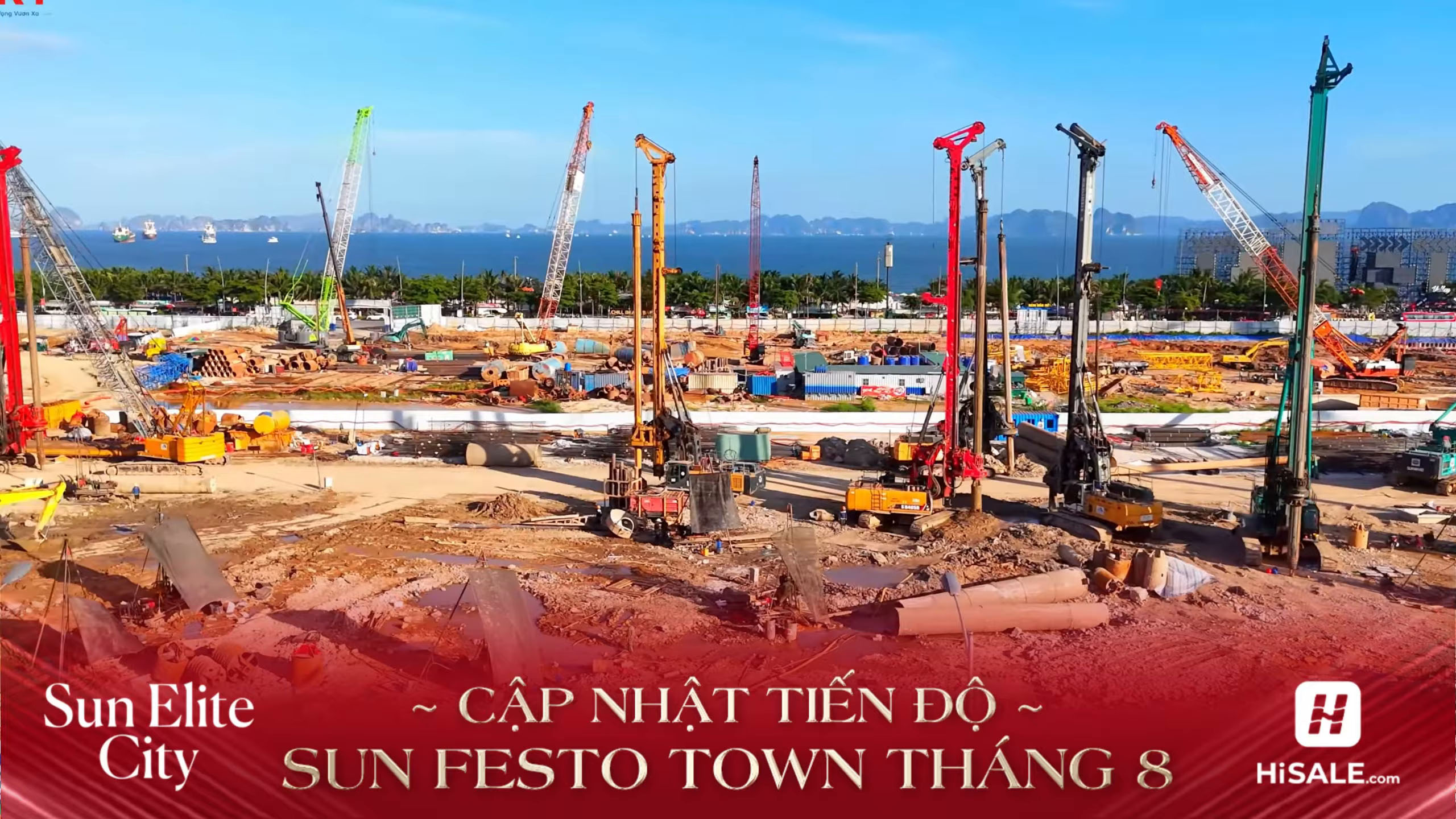 TIẾN ĐỘ DỰ ÁN T8
