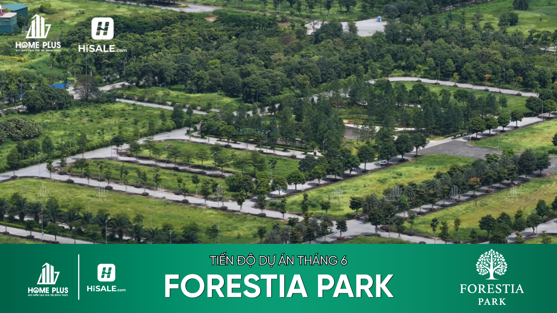 CẬP NHẬT TIẾN ĐỘ T6/2026