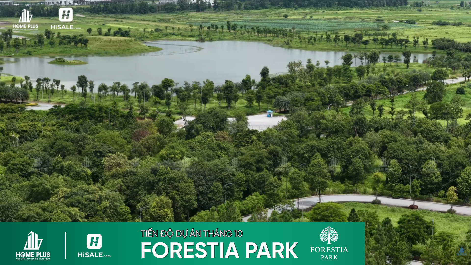 TIẾN ĐỘ T10/2026 DỰ ÁN FORESTIA PARK