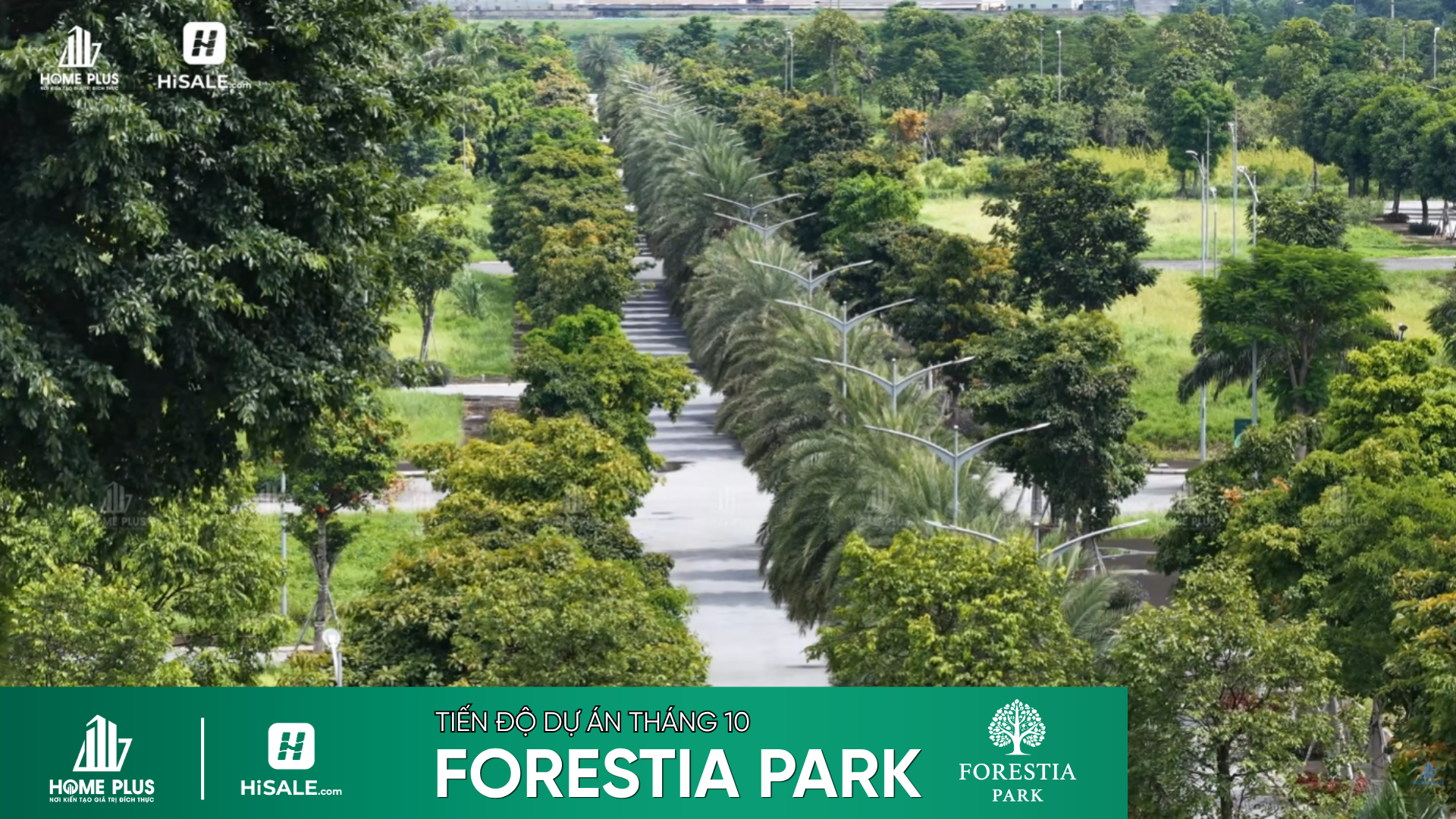 TIẾN ĐỘ T10/2026 DỰ ÁN FORESTIA PARK