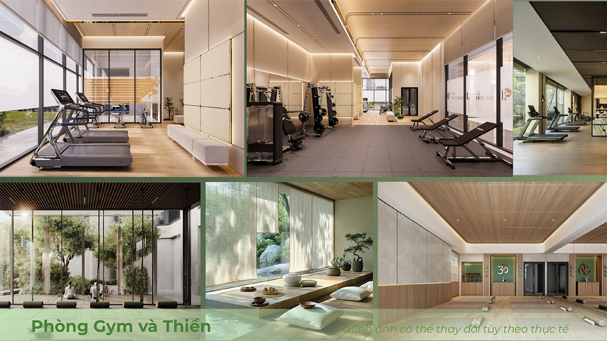 Gym & dancce, Yoga studio